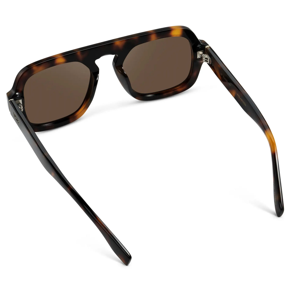 Brown Tortoise / Brown Lens