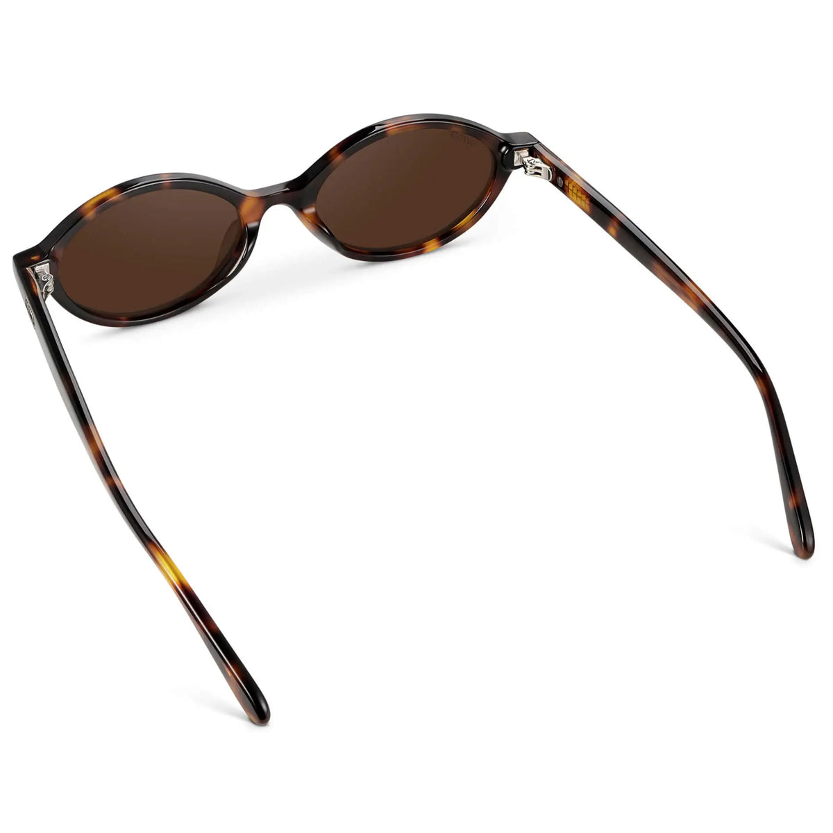 Brown Tortoise / Dark Brown Lens