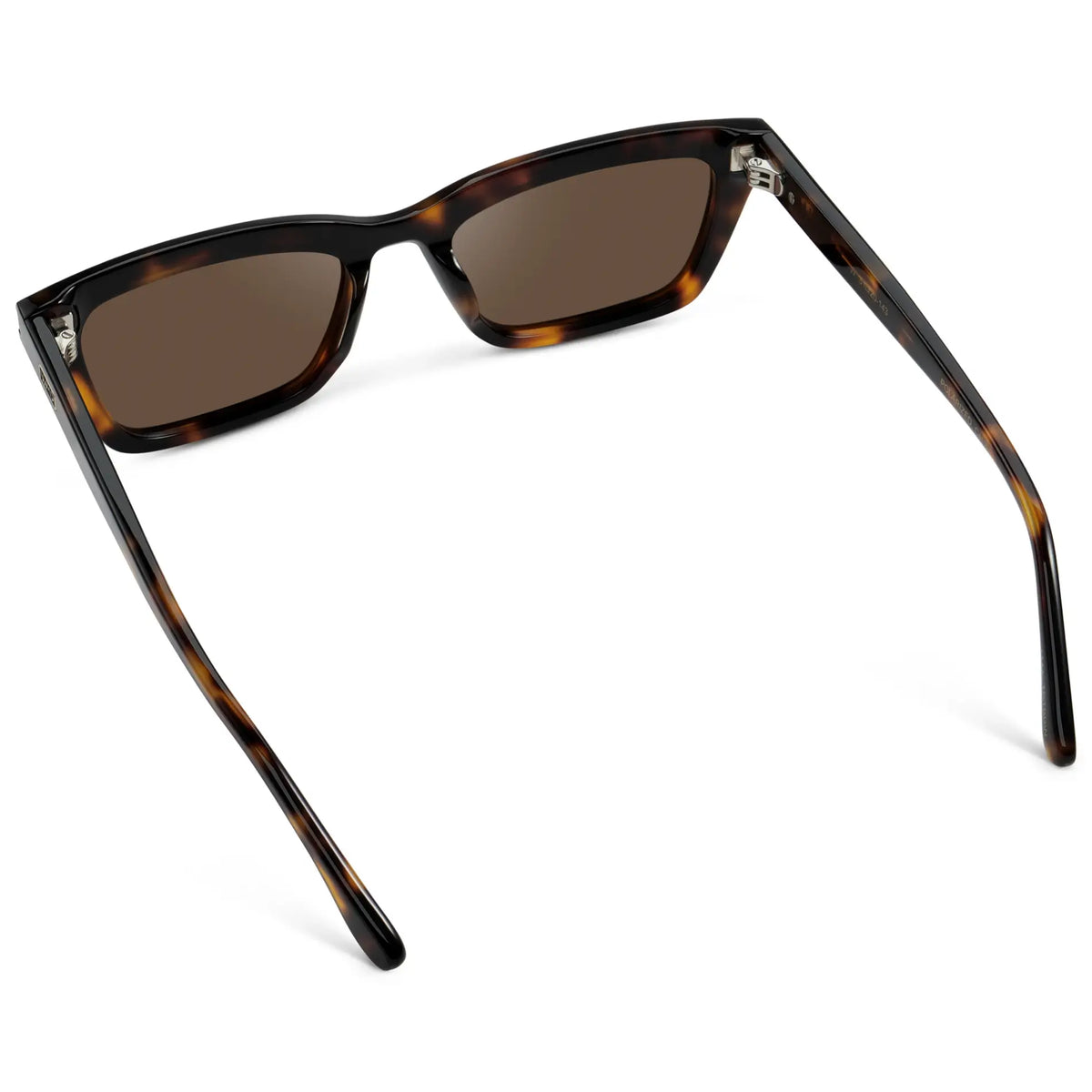 Brown Tortoise / Brown Lens