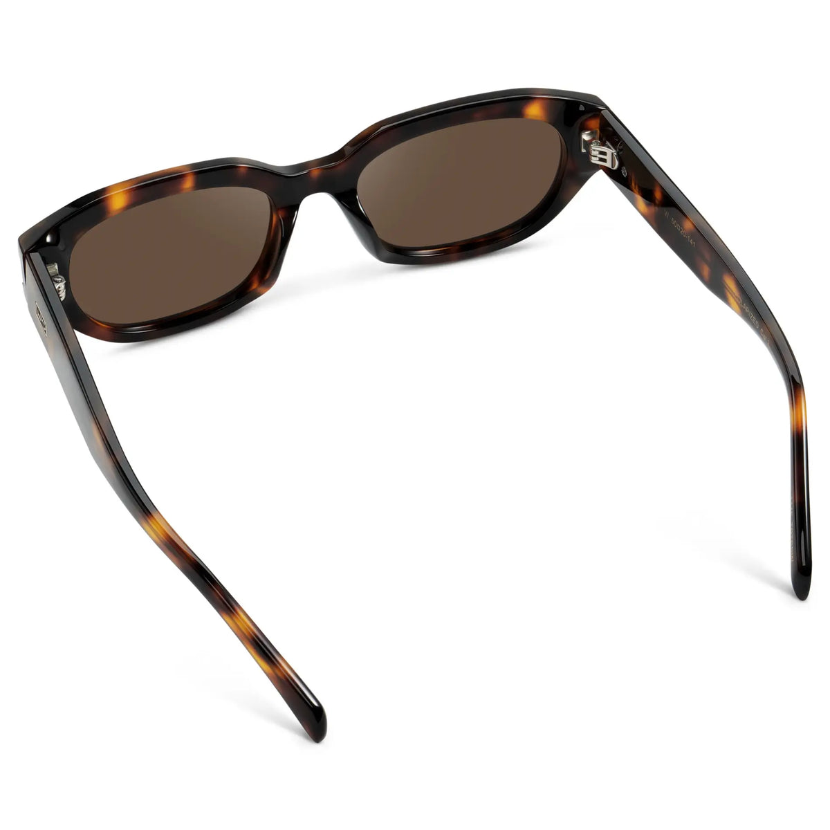 Brown Tortoise / Brown Lens