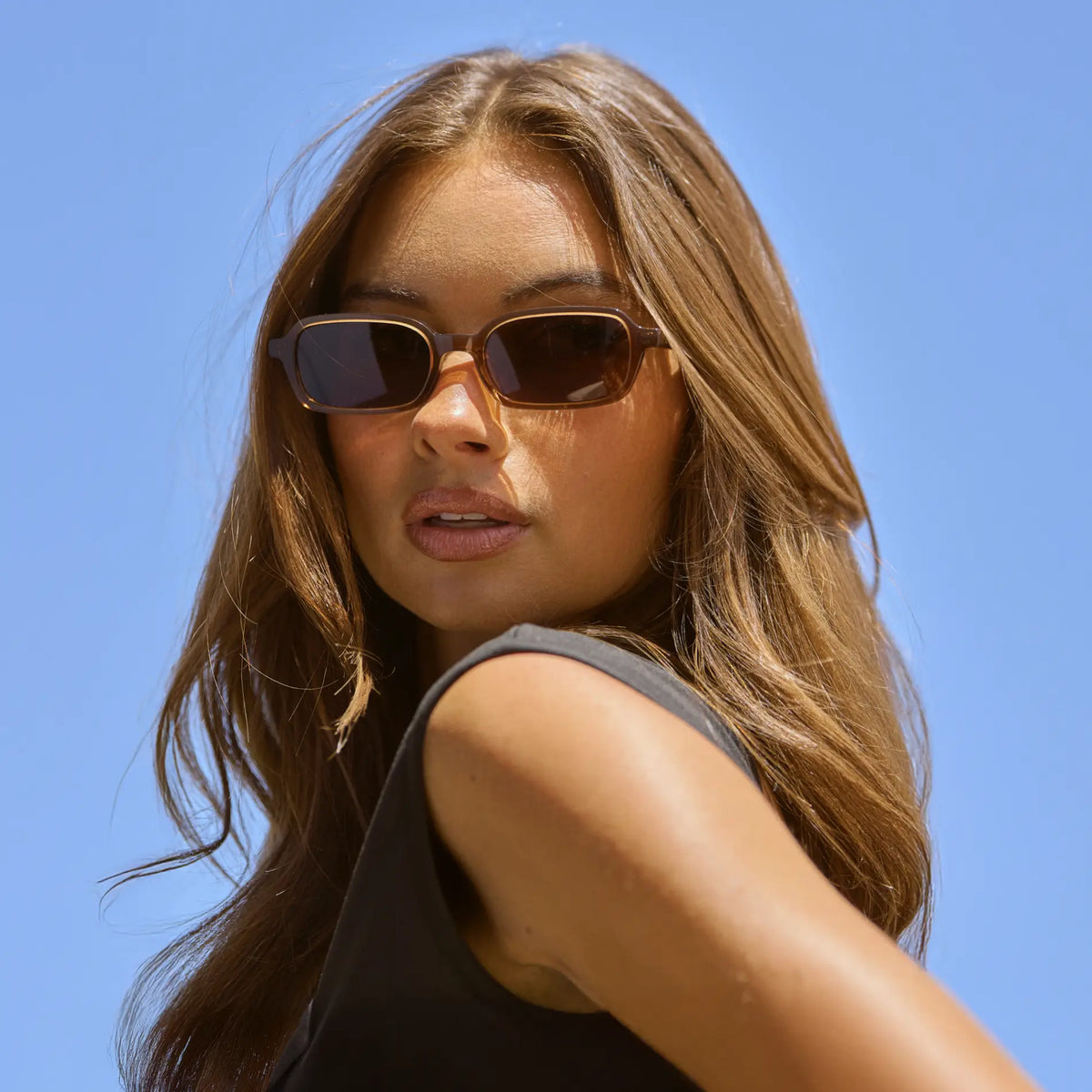 Cocoa Brown / Brown Lens