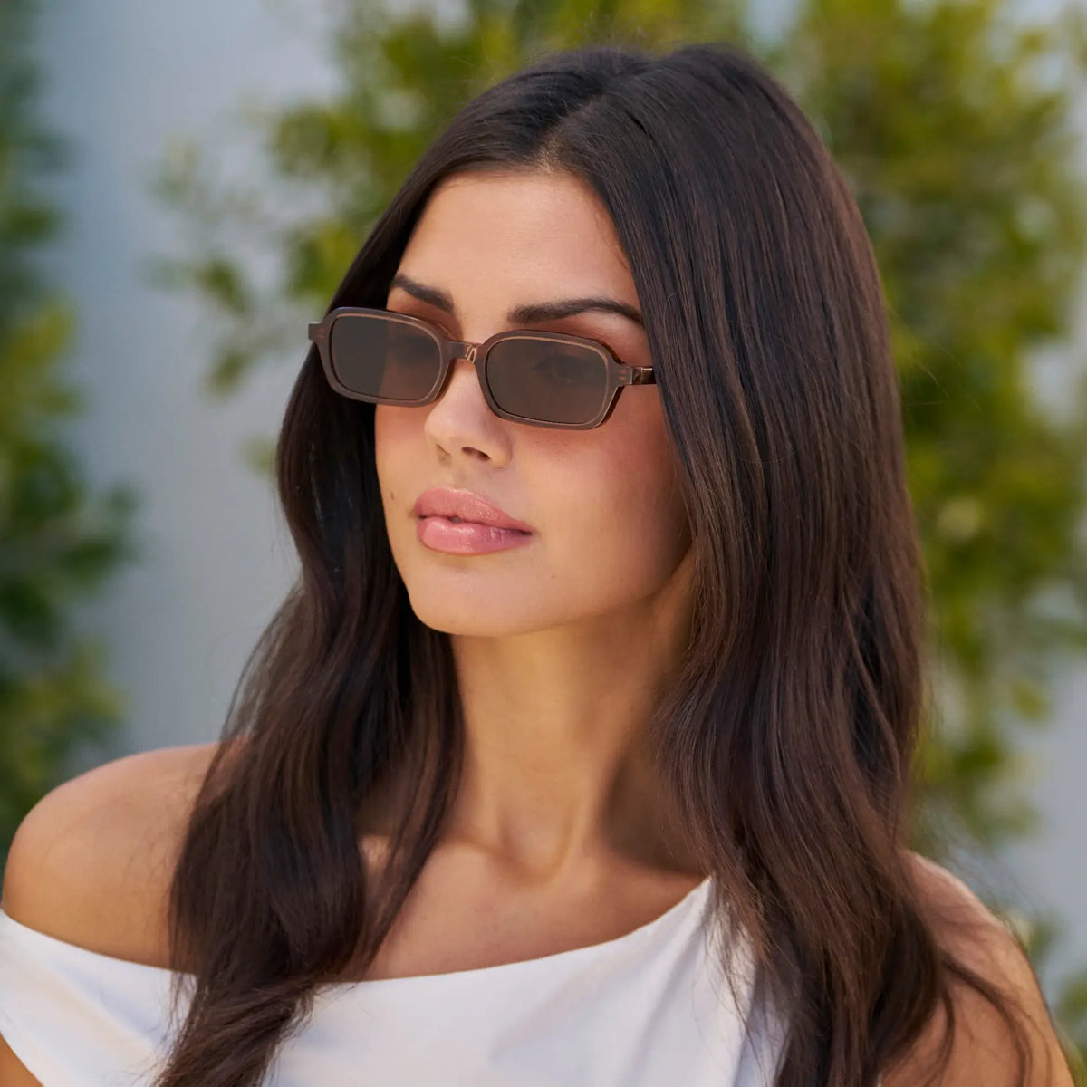 Cocoa Brown / Brown Lens