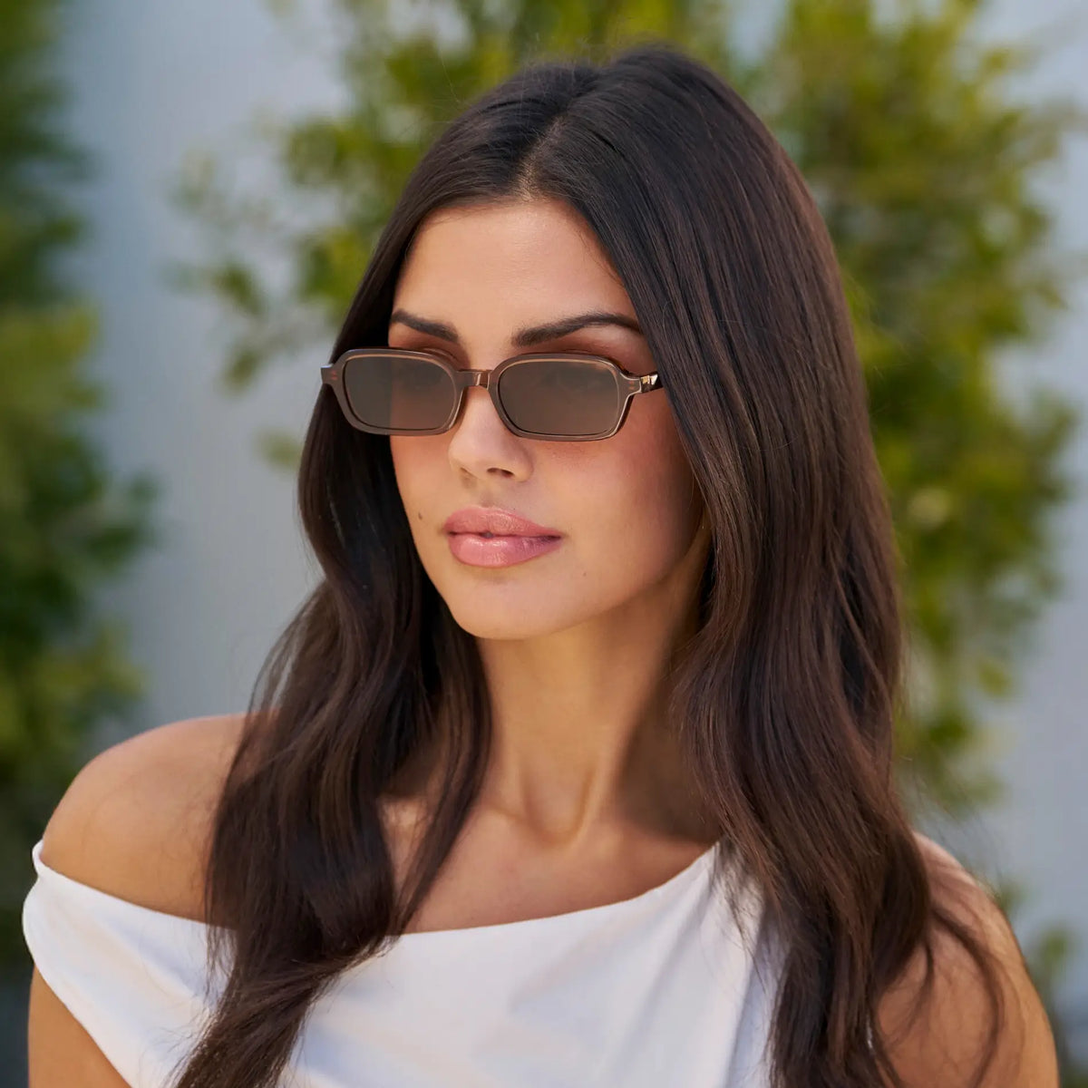 Cocoa Brown / Brown Lens