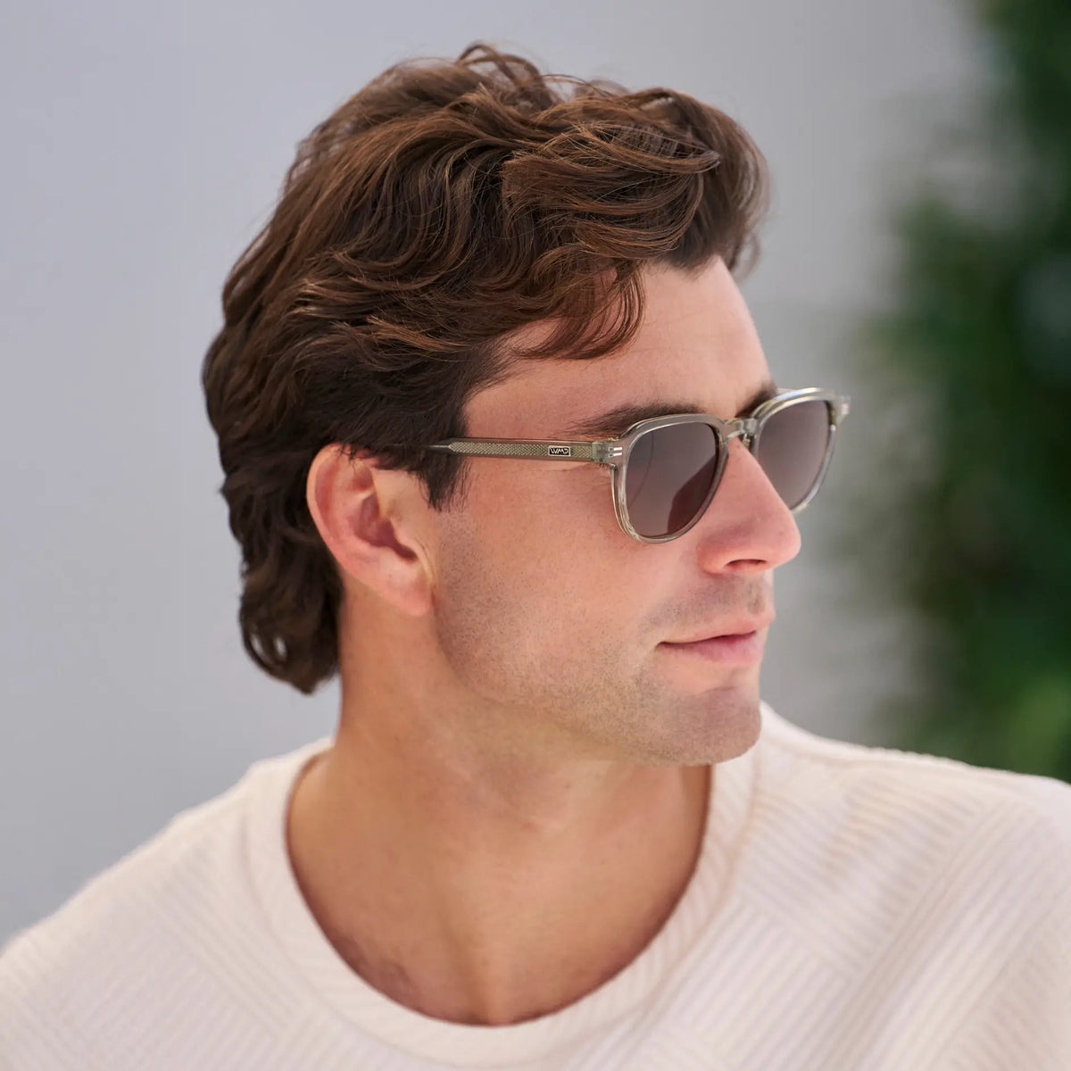 Palm Green / Brown Gold Gradient Lens