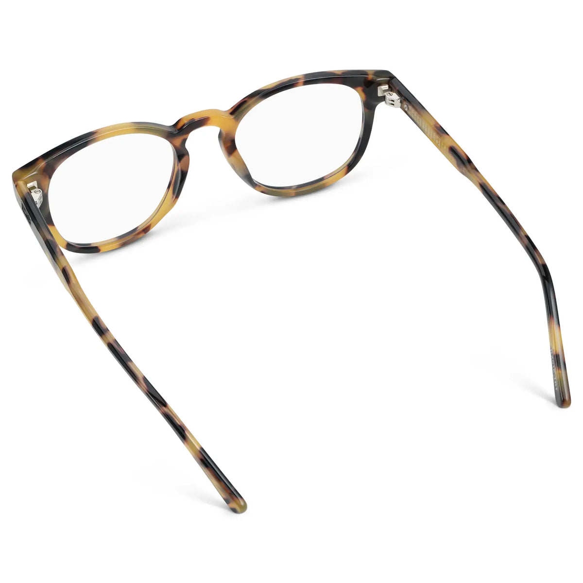 Dune Tortoise