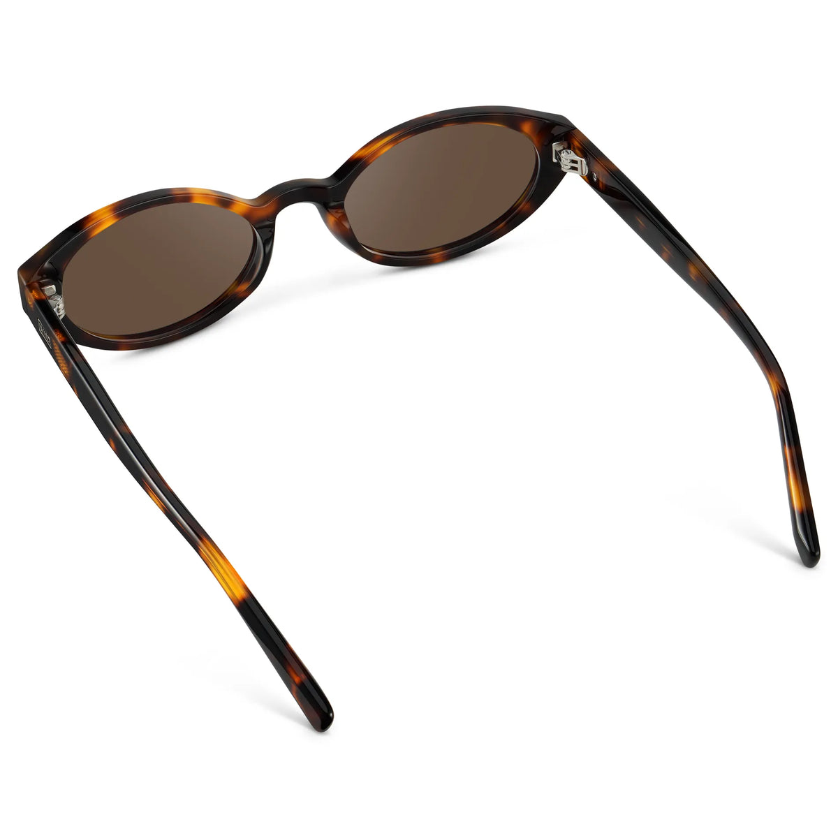 Brown Tortoise / Brown Lens