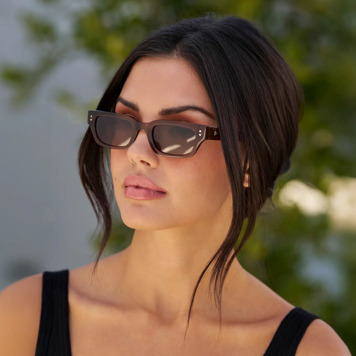 Cocoa Brown / Brown Lens