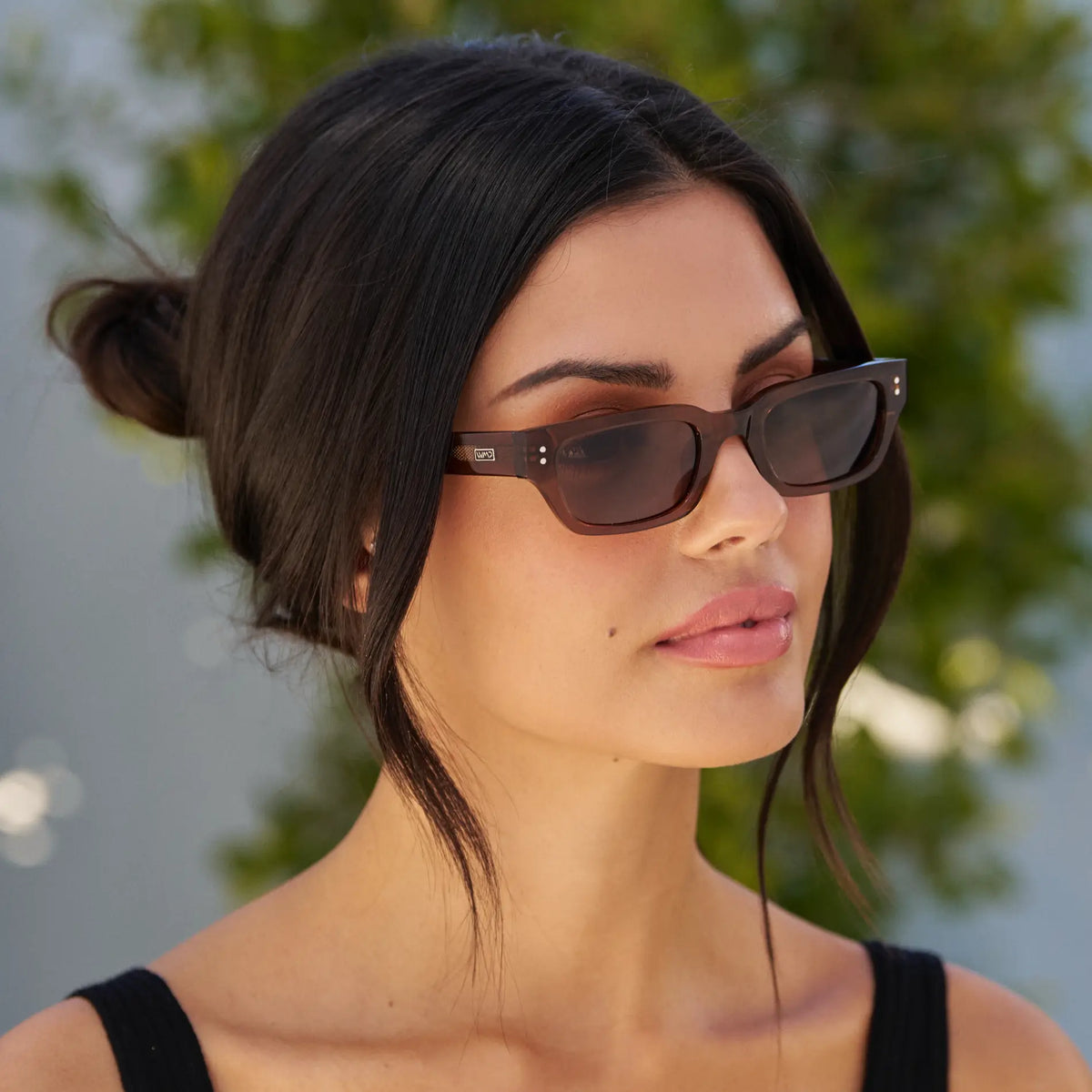 Cocoa Brown / Brown Lens