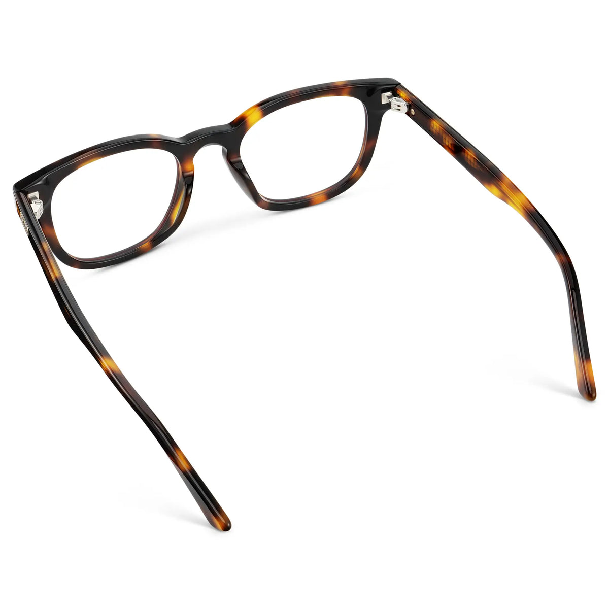 Brown Tortoise
