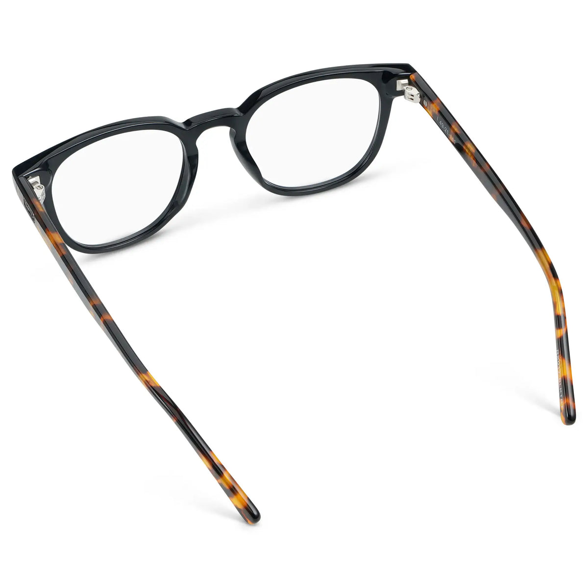 Black Autumn Tortoise