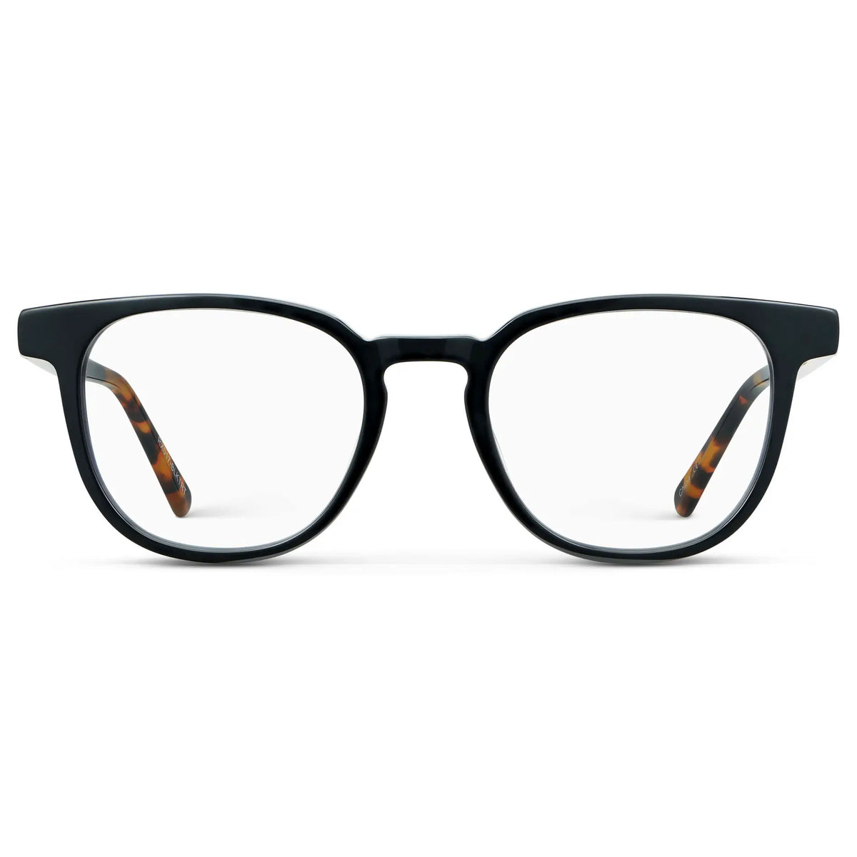Black Autumn Tortoise