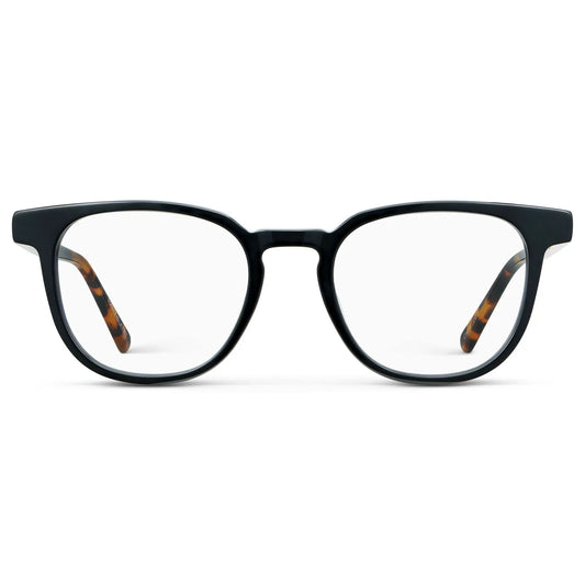 Black Autumn Tortoise