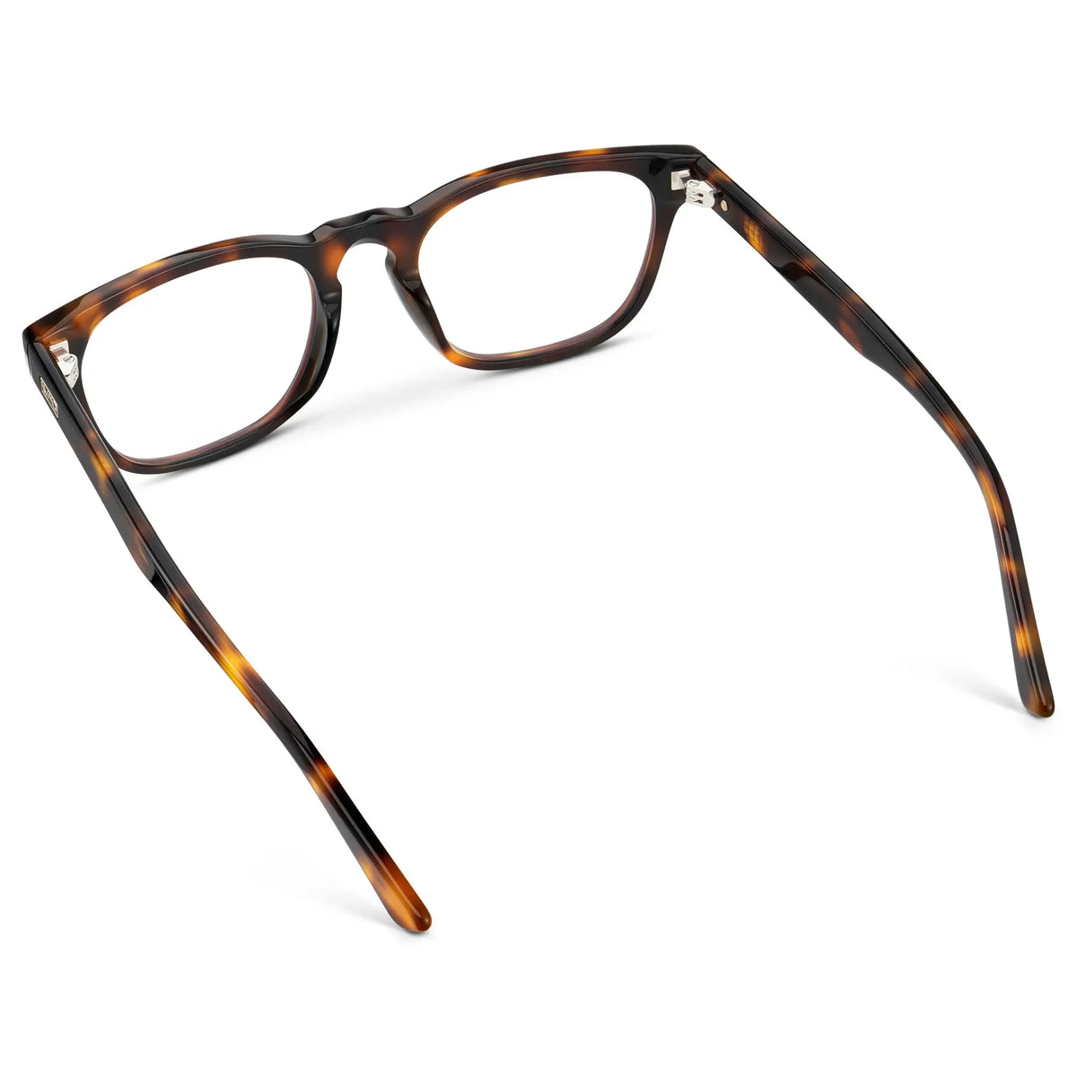 Brown Tortoise