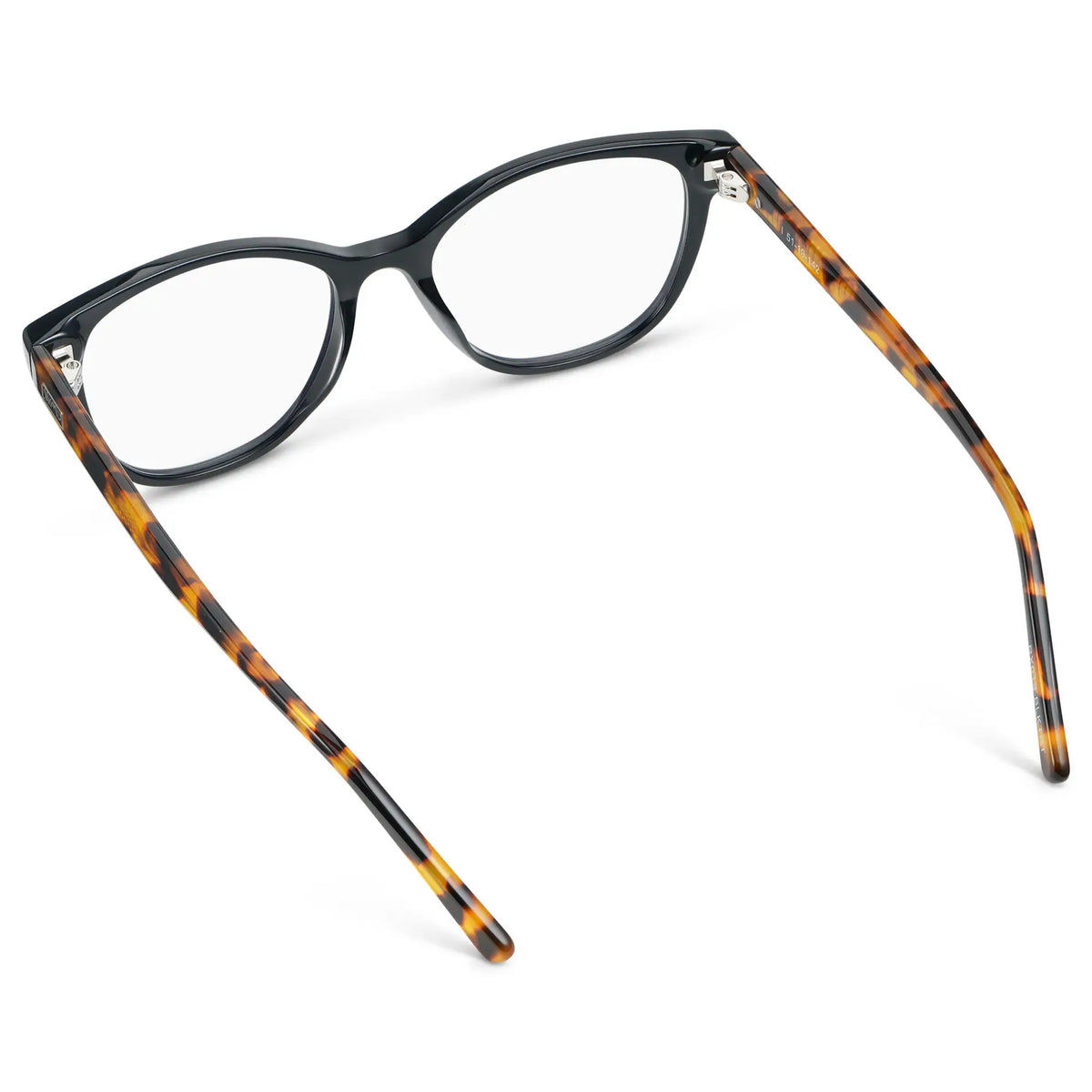 Black Autumn Tortoise