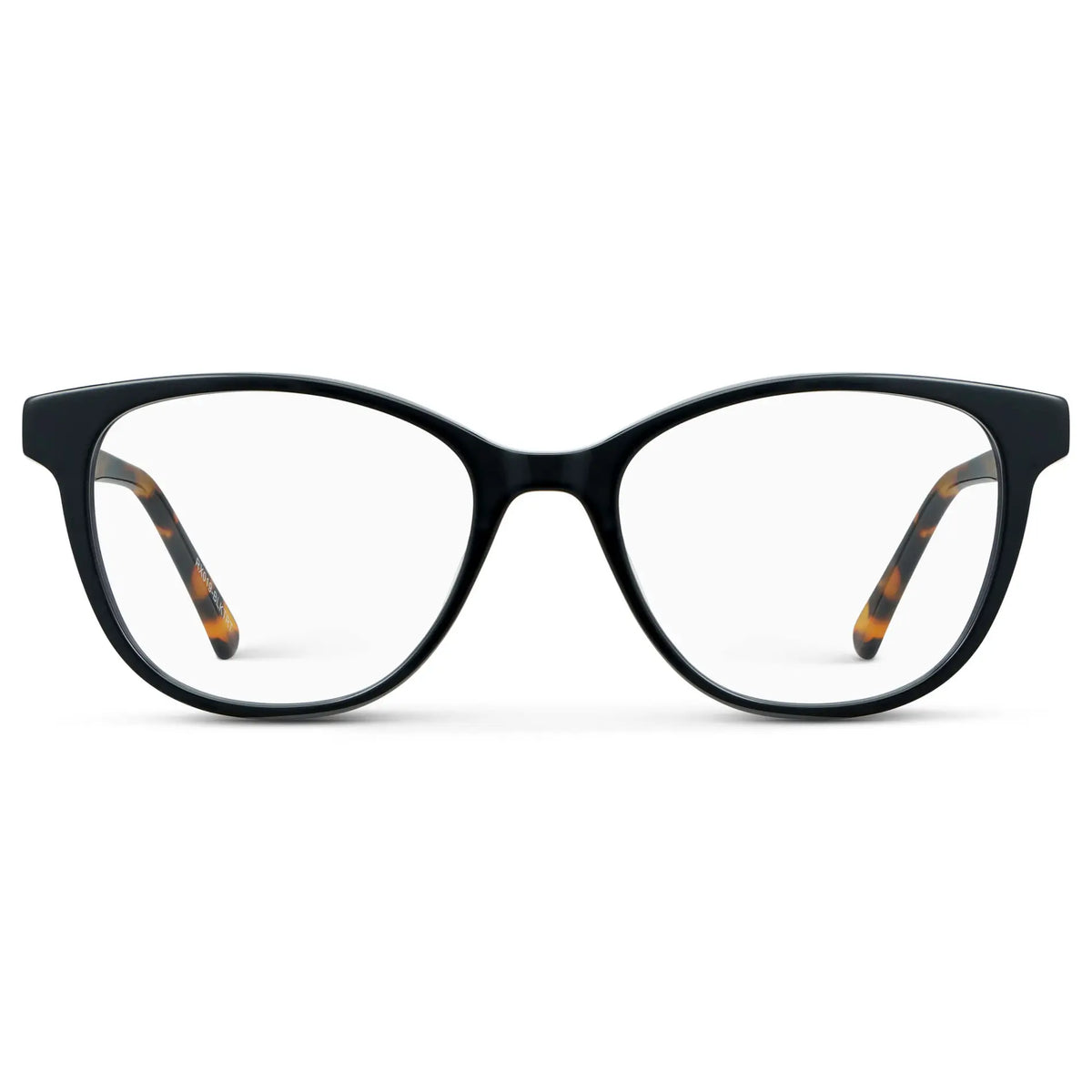 Black Autumn Tortoise