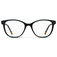 Black Autumn Tortoise