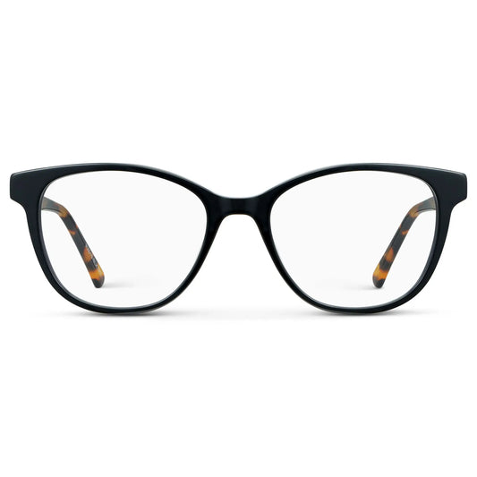Black Autumn Tortoise