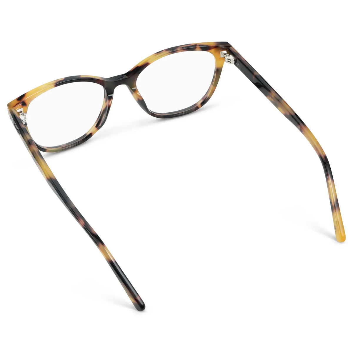 Dune Tortoise