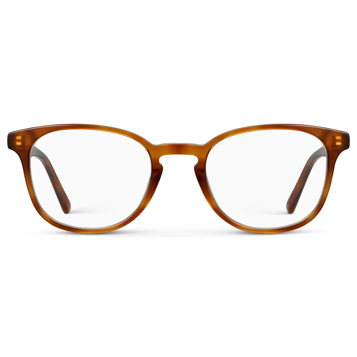 Honey Tortoise