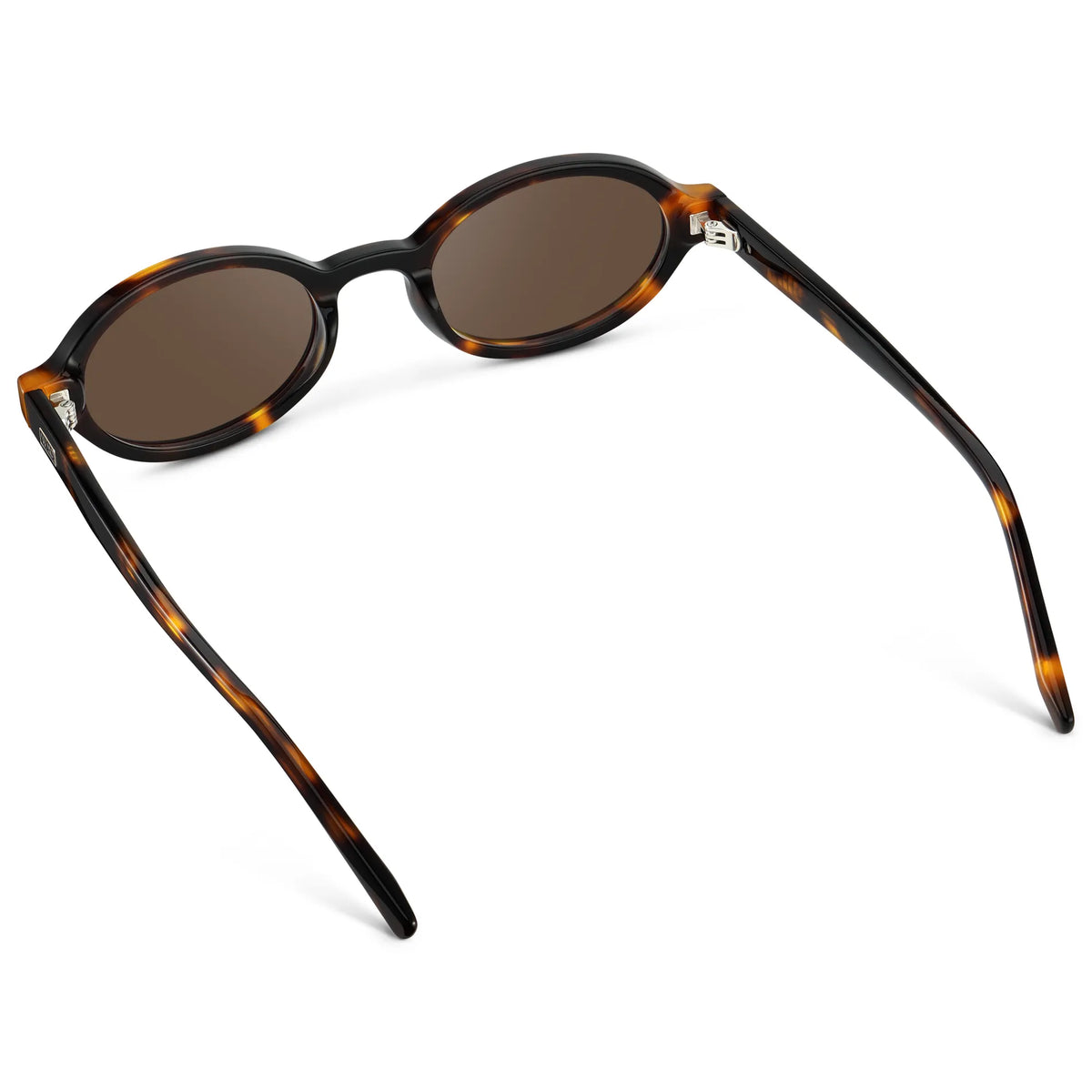 Brown Tortoise / Brown Lens