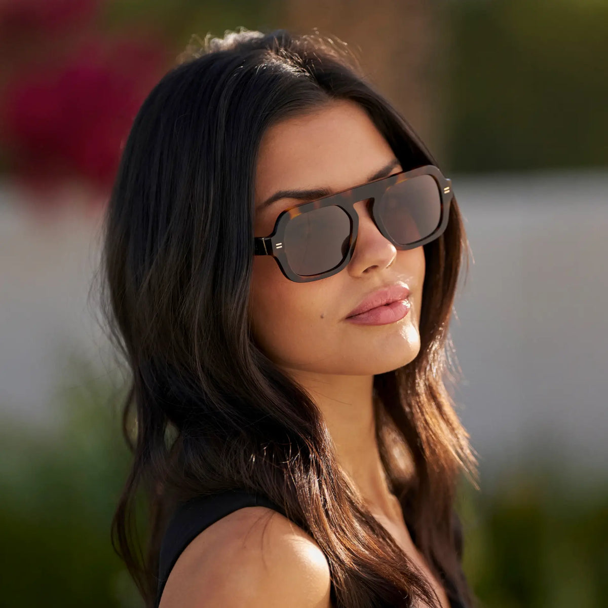 Brown Tortoise / Brown Lens