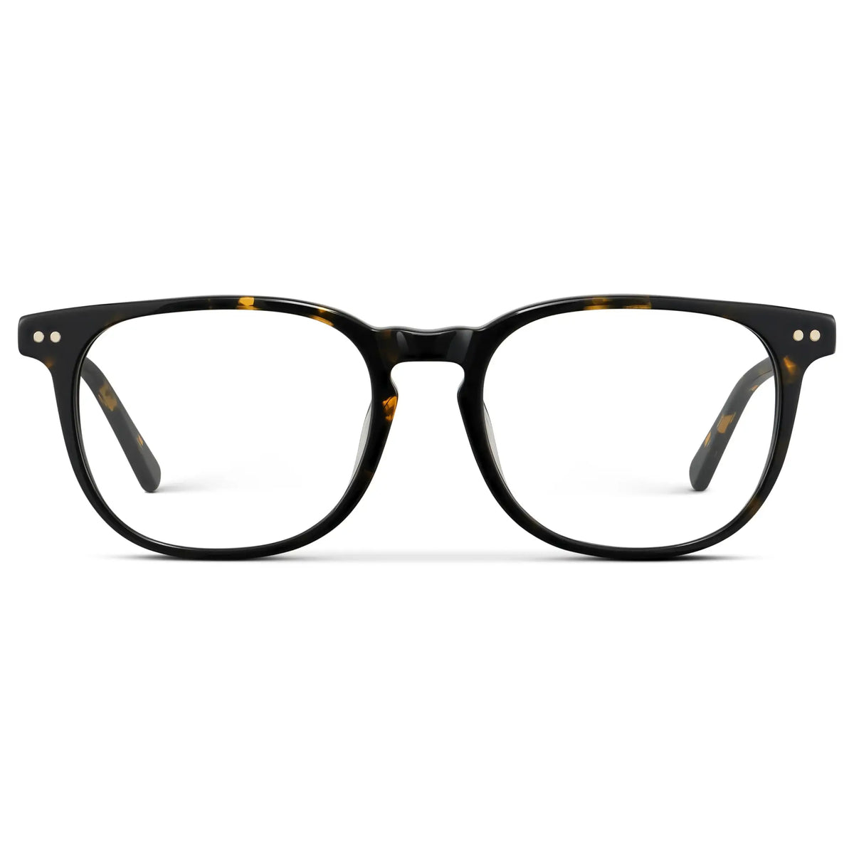 Obsidian Gold Tortoise