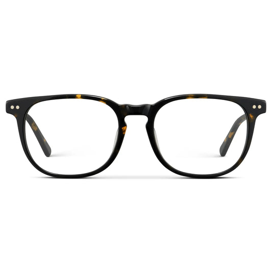 Obsidian Gold Tortoise