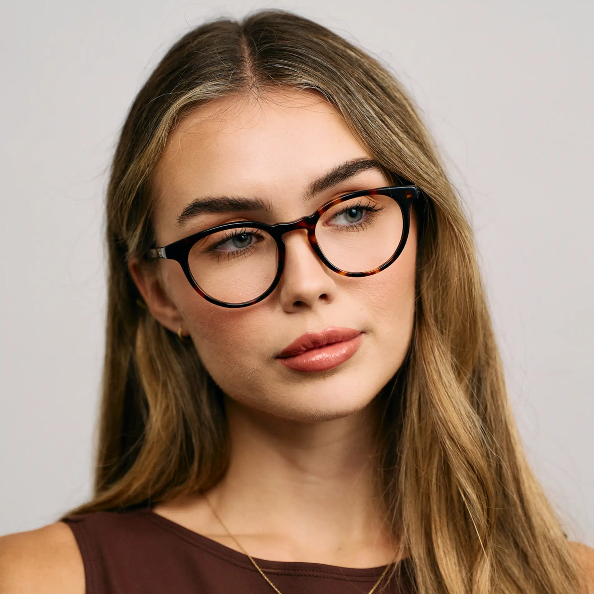 Brown Tortoise