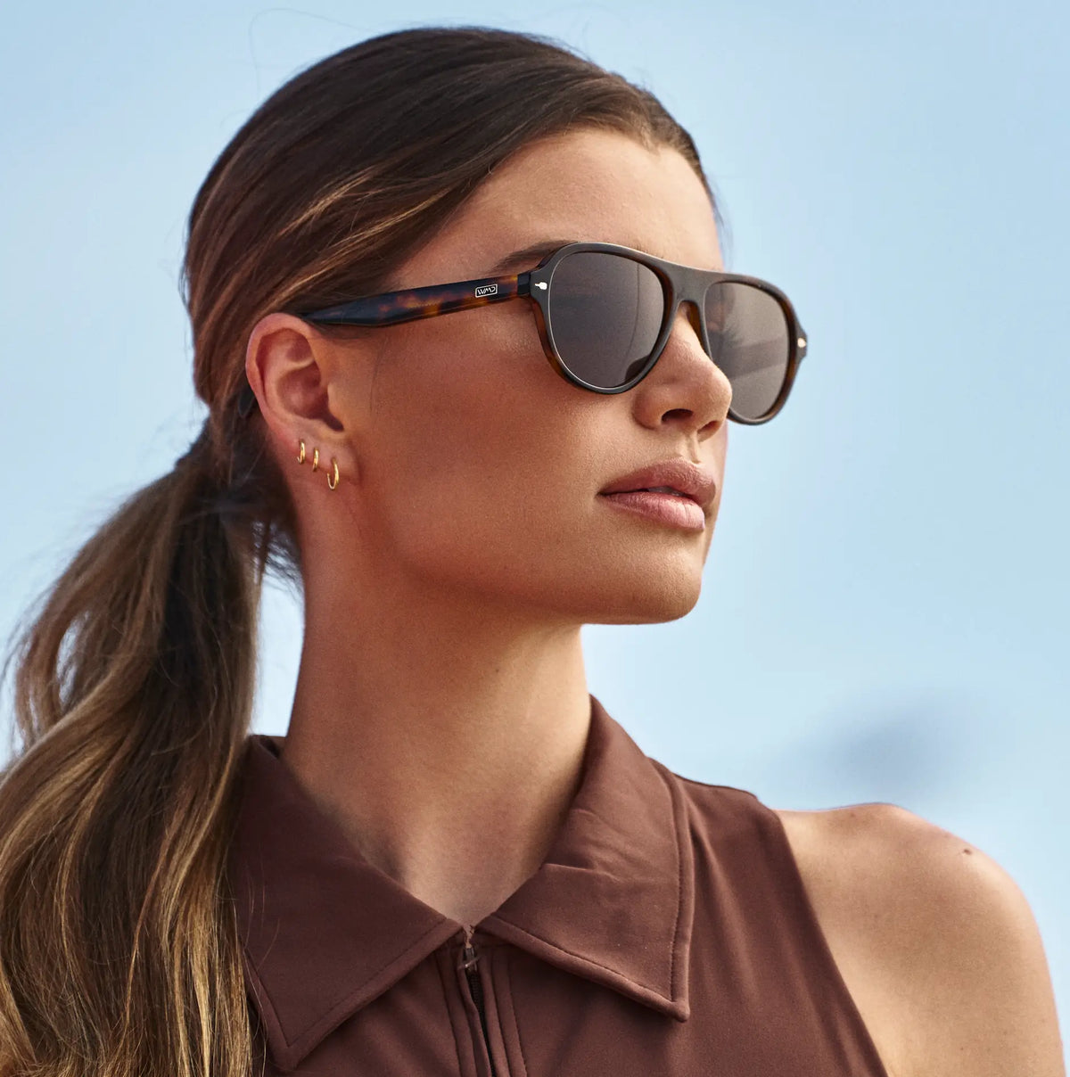 Brown Tortoise / Brown Lens