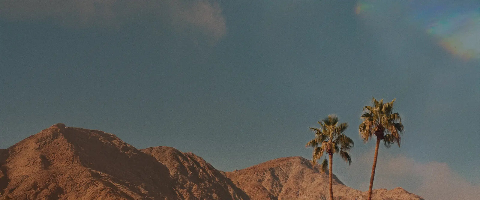 Sunlit desert mountains with two tall palm trees beneath a clear blue sky.